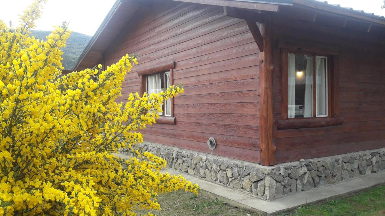 El Jarillal Chalet De Montana A Pasos Del Lago Lago Puelo Eksteriør billede
